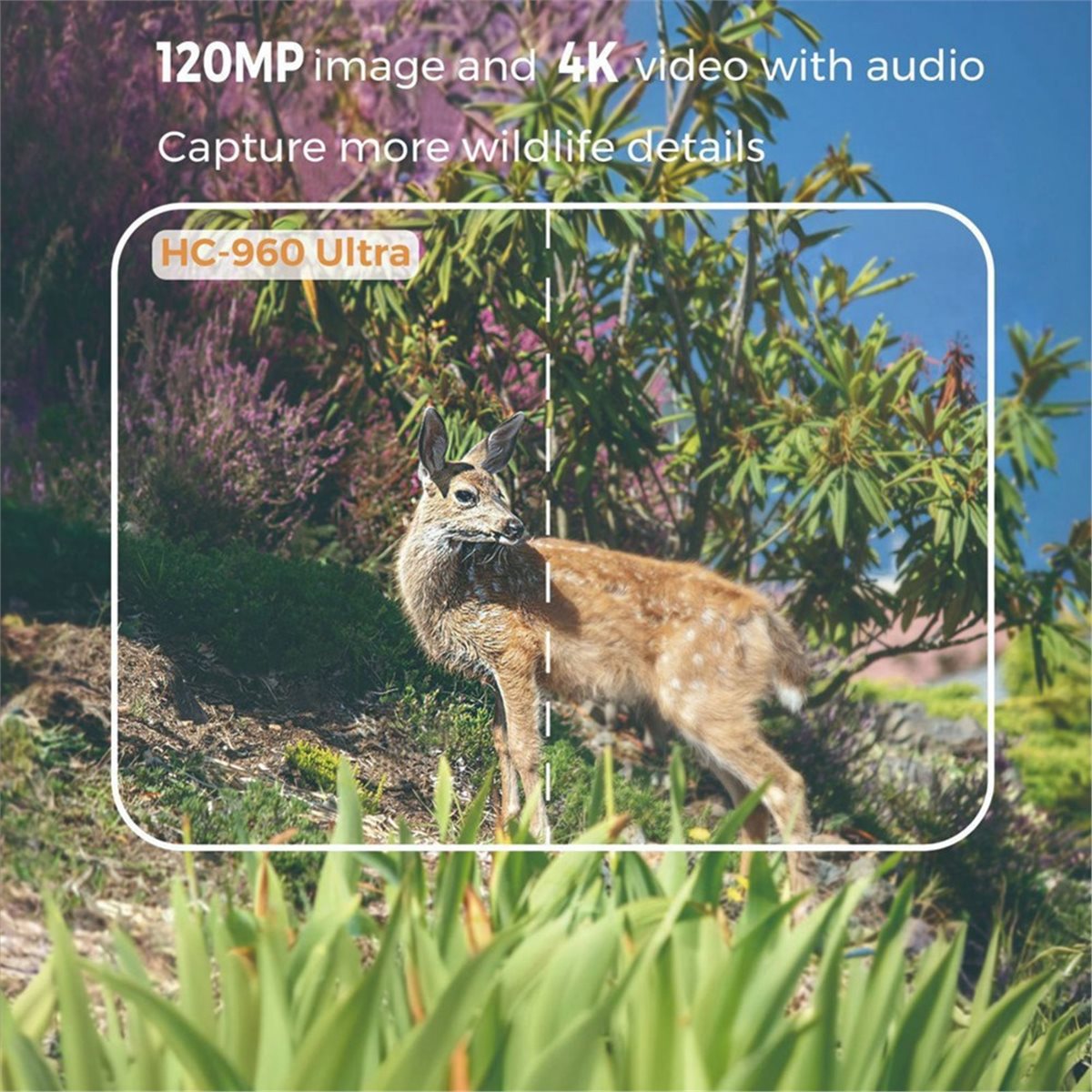Aktualisierung. Outdoor 4G 120 – Hunting Outdoor Shows Bewertung und Preis