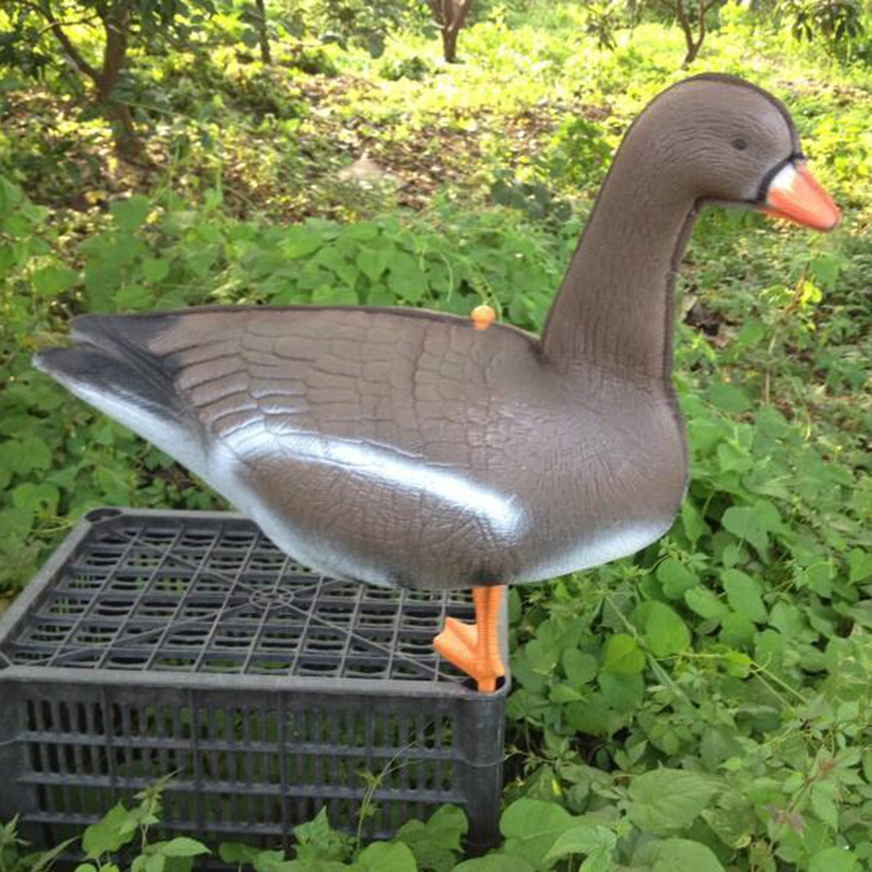 Lebendige Gans Jagd Lockvogel  – Hunting And Outdoor Supplies Bewertung und Preis