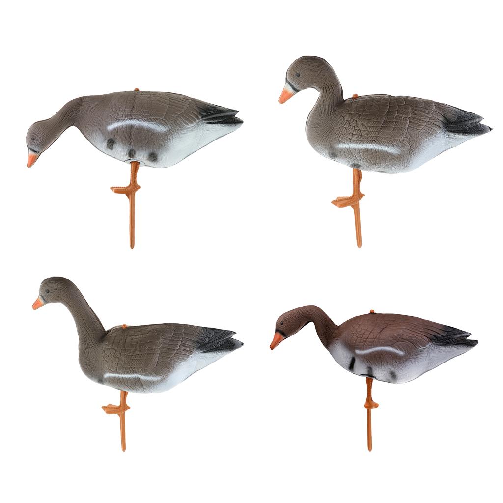 Lebendige Gans Jagd Lockvogel  – Hunting And Outdoor Supplies Bewertung und Preis