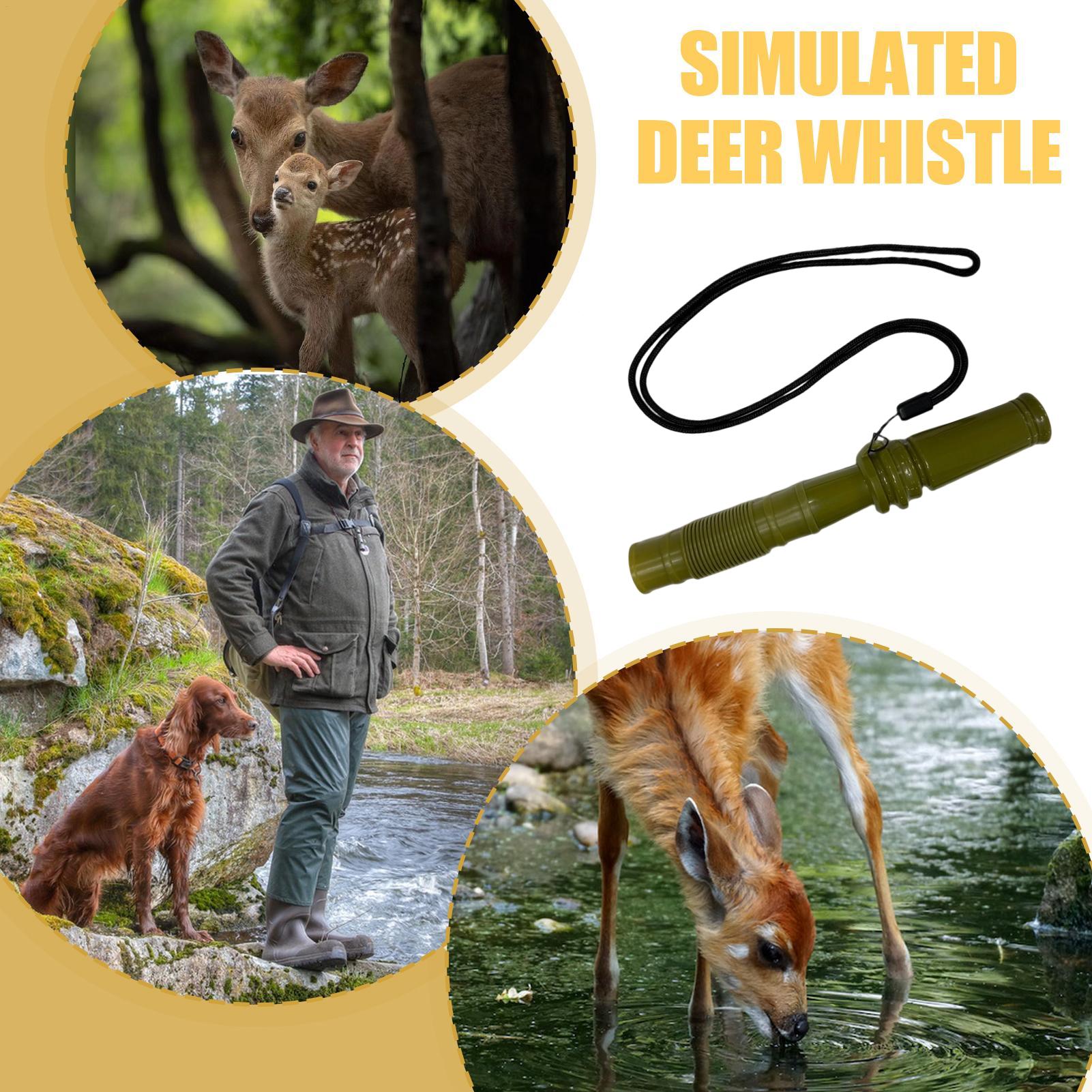 Rasselnde Geweih für die Hirsc – Hunting And Outdoor Supplies Bewertung und Preis